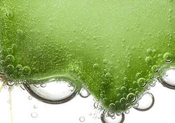 reparacion firmeza b4