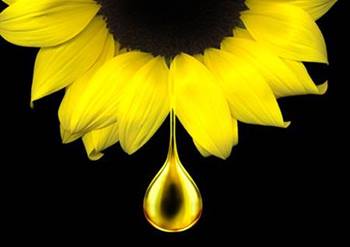 garnier-crema-de-color-nutritivo