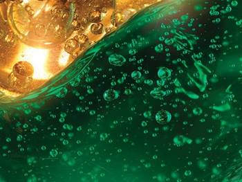 3E DMI NUTRISSE OLEOS Still 3E INTL 2023