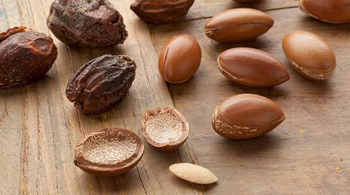 argan nut table sm