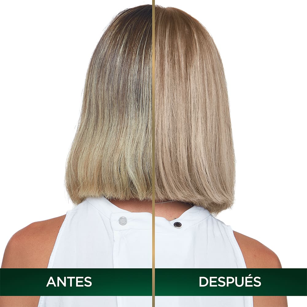 Oleos 91 3